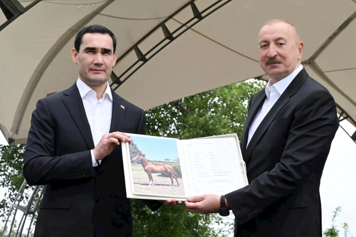 Türkmənistan Prezidentinə Qarabağ atı hədiyyə edilib — FOTOLAR