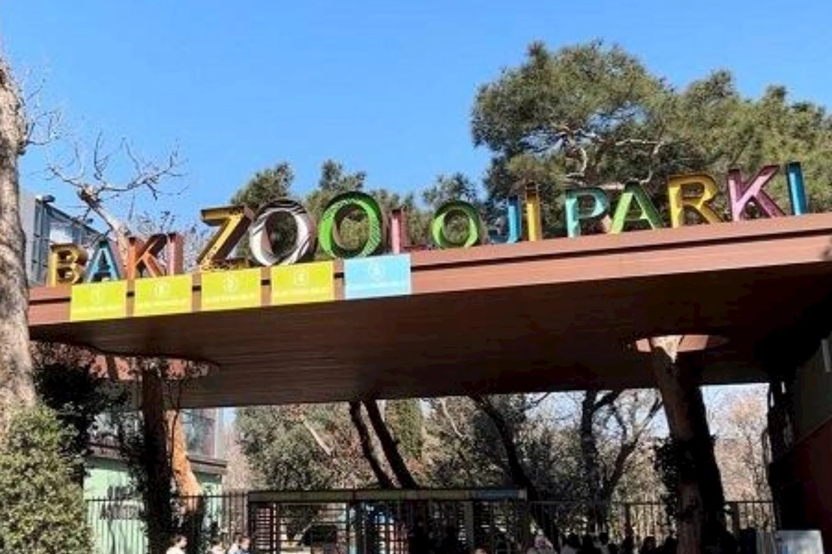 Bakı zooparkı ləğv olunur