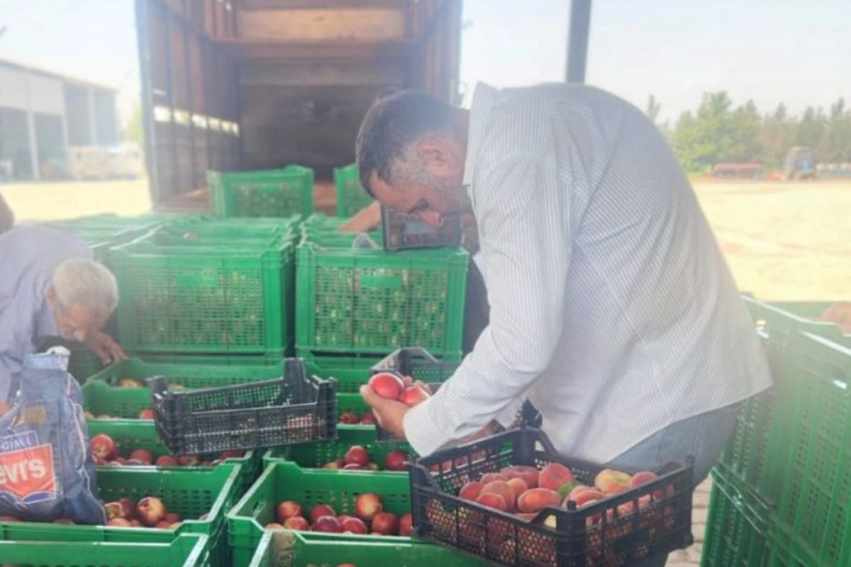 Dövlət proqramı qarşıdakı 5 il üçün yeni imkanlar açır — FOTOLAR