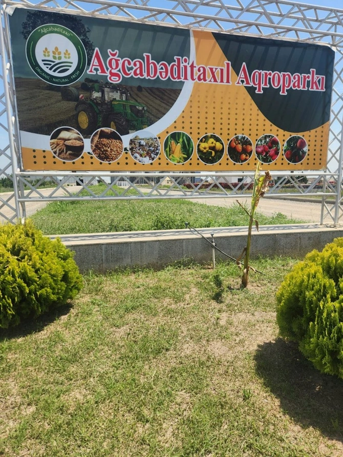 Dövlət proqramı qarşıdakı 5 il üçün yeni imkanlar açır — FOTOLAR Dövlət proqramı qarşıdakı 5 il üçün yeni imkanlar açır — FOTOLAR
