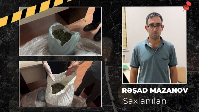 İsmayıllıda meşədə külli miqdarda narkotik aşkarlandı — VİDEO/FOTOLAR
