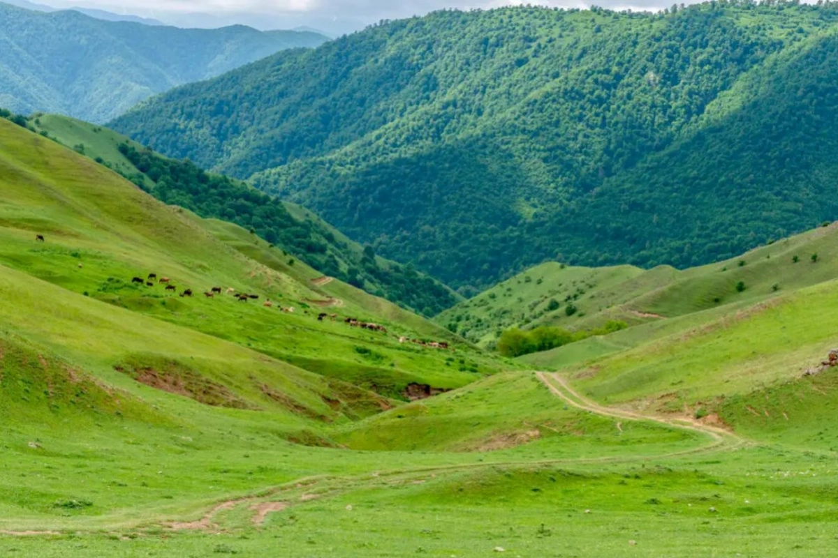 Azərbaycana turist axını niyə azalıb?