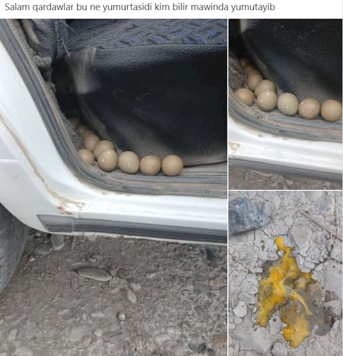 Azərbaycanda maşından onlarla yumurta tapıldı — Bu heyvana aid imiş (FOTO)
