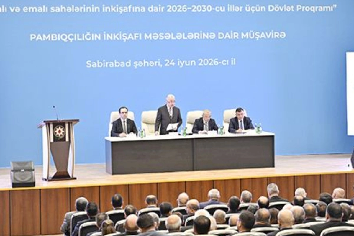 Pambıqçılıq: Dirçəlişdən inkişafa