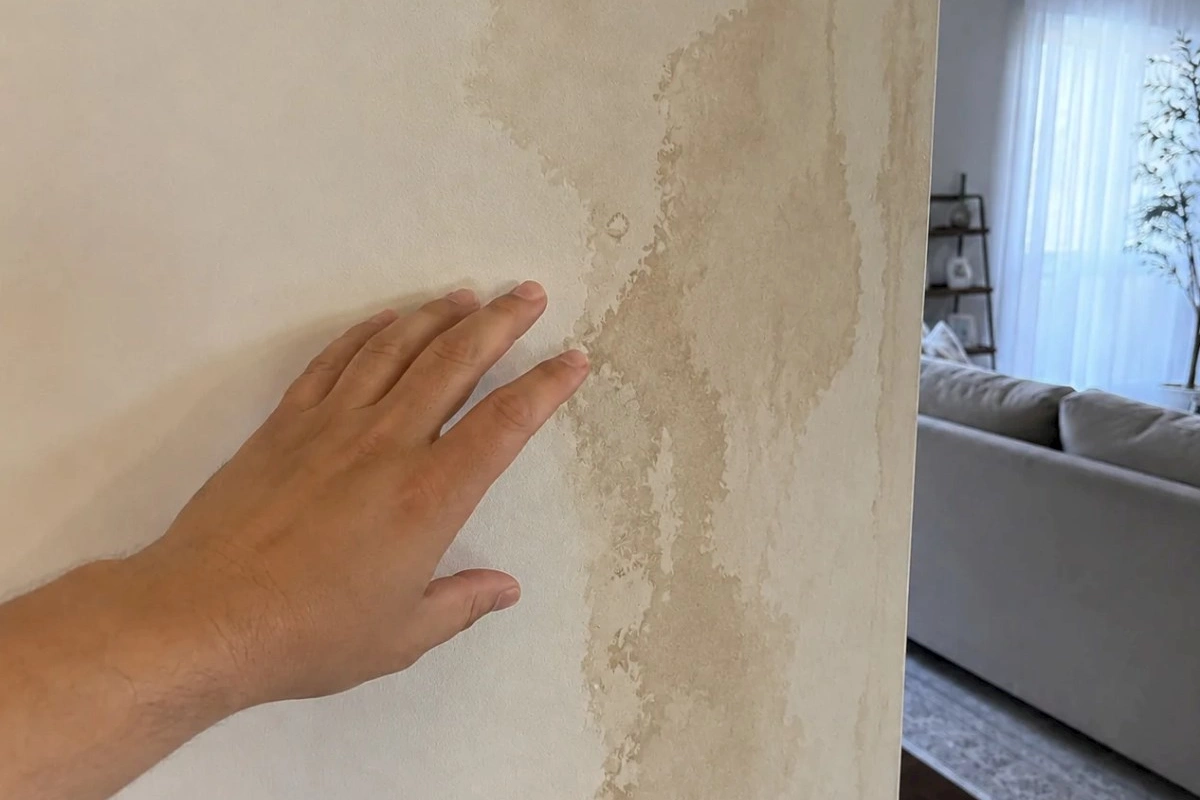 Divardakı kif ləkələrindən qurtulmağın sadə yolları