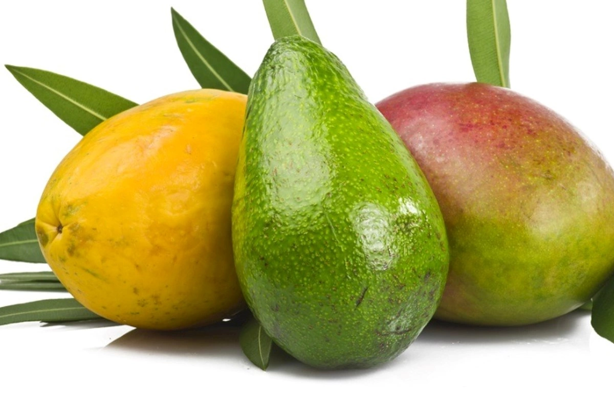 Ürək və böyrəklər üçün ən faydalı kalium mənbələri — SİYAHI
