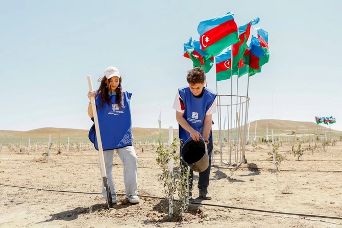 Ümumdünya Ətraf Mühit Günü münasibətilə ağacəkmə aksiyası təşkil olundu — FOOTOLAR Ümumdünya Ətraf Mühit Günü münasibətilə ağacəkmə aksiyası təşkil olundu — FOOTOLAR