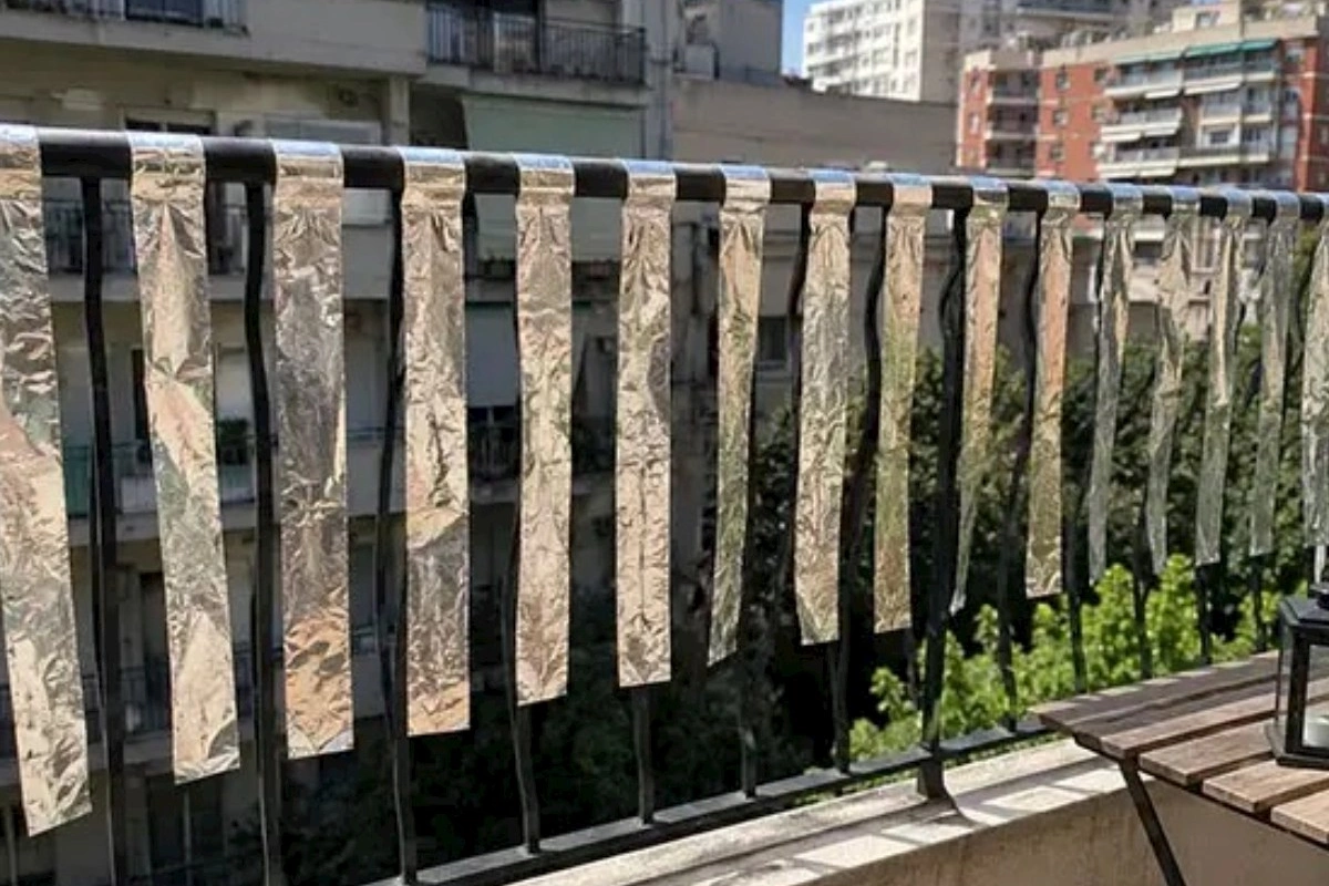 Yayda eyvana alüminium folqa asın — Nə milçək gəlir, nə də quş
