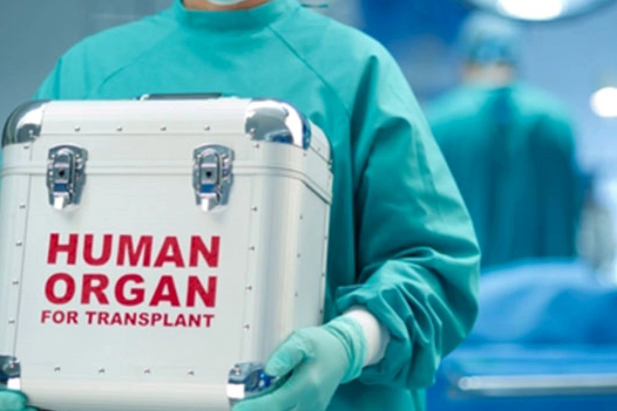 Baş nazirdən sümük iliyi transplantasiyası ilə bağlı qərar