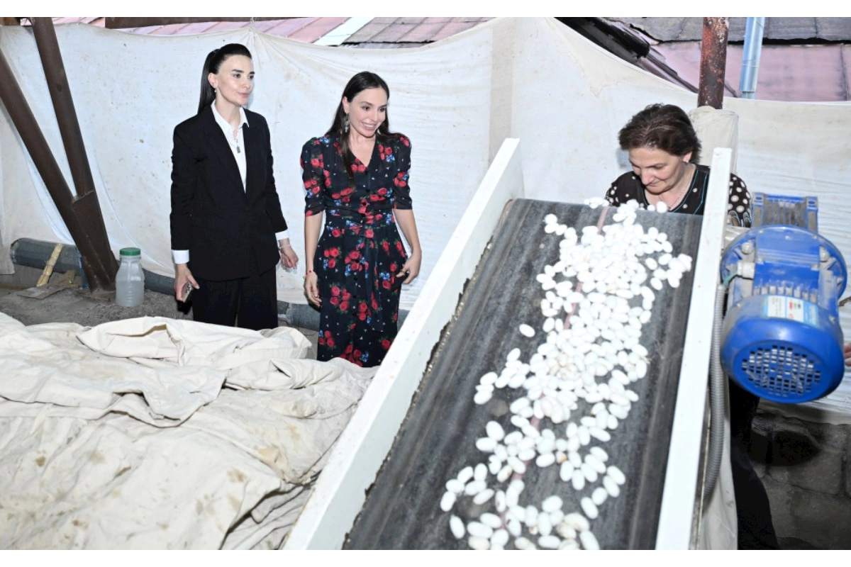 Leyla Əliyeva “Azəripək” ASC-nin fəaliyyəti ilə yaxından tanış olub — FOTOLAR