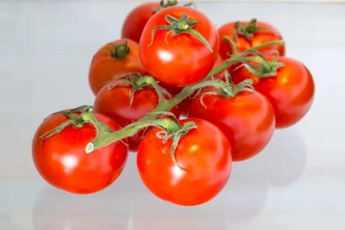 Pomidoru soyuducuda saxlamaq olarmı?
