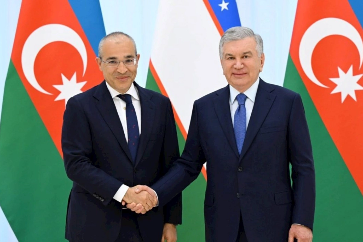 Mikayıl Cabbarov Özbəkistan Prezidenti Şavkat Mirziyoyev tərəfindən qəbul olunub — FOTO