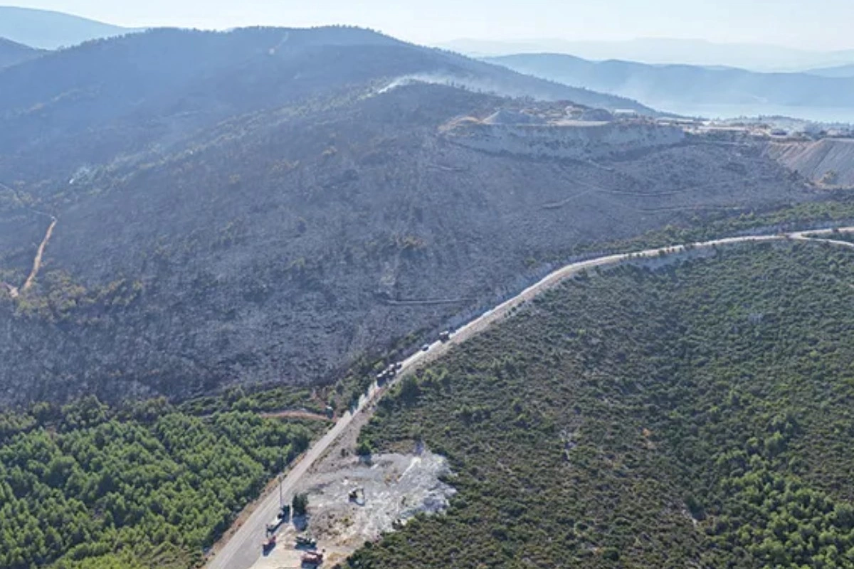 Muğlada meşə yanğını məşhurların villalarını külə çevirdi — FOTOLAR
