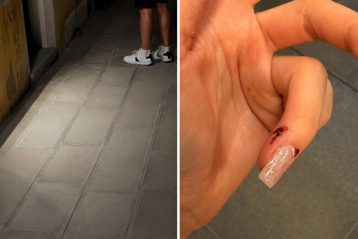 Qondola gəzintisi kabusla bitdi — Məşhur şəhərdə turisti siçovul parçaladı