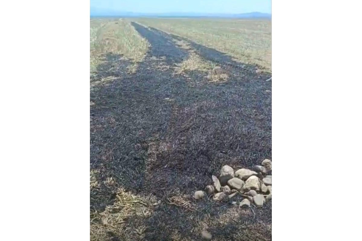 Oğuzda yanğın törədən şəxs məsuliyyətə cəlb olundu