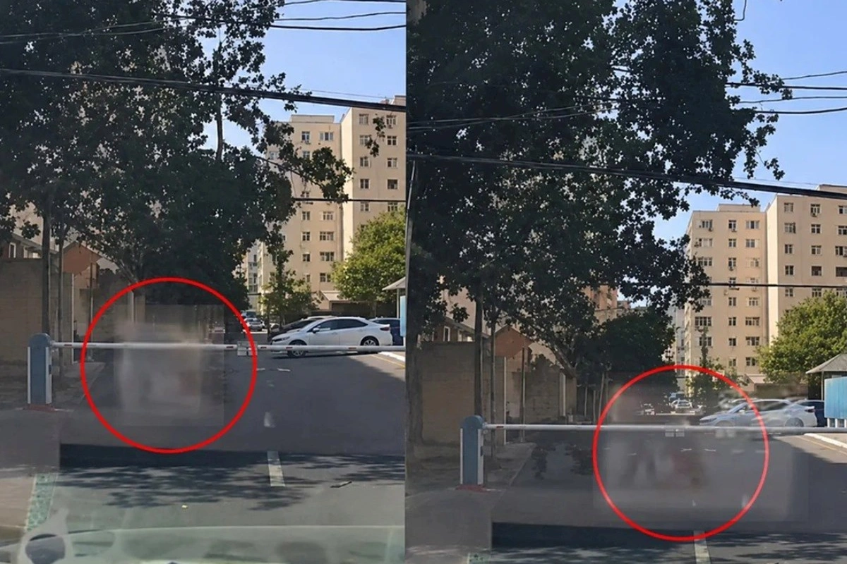 Bakıda sınan ağac budağı qadının üzərinə düşdü — ANBAAN VİDEO