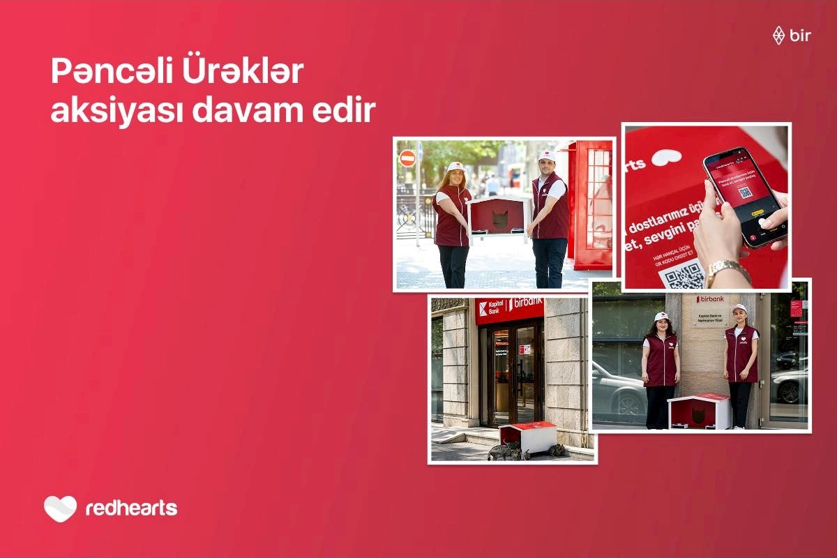 “Pəncəli Ürəklər” aksiyası çərçivəsində sahibsiz heyvanlar üçün yuvaların sayı 35-ə çatdı