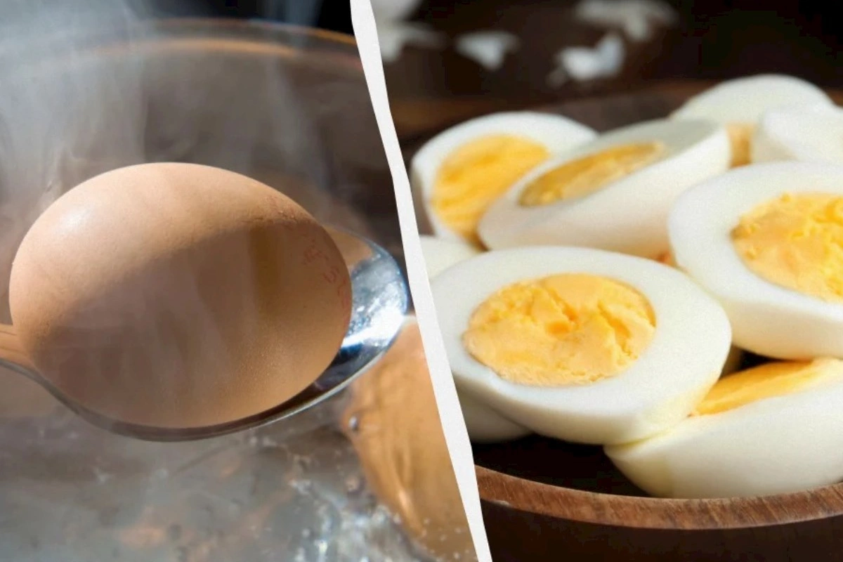 Yumurta necə yeyilməlidir ki, D vitamini tam mənimsənilsin?