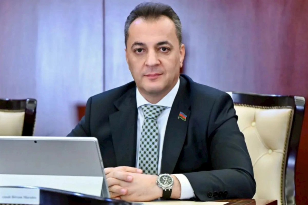 Sosial şəbəkələrlə bağlı dəyişikliklərin məqsədi uşaqları rəqəmsal risklərdən qorumaqdır — Deputat