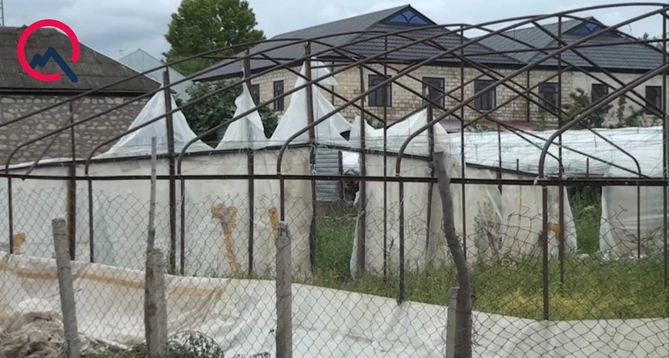 Heyvanları ildırım vurdu, istixanaları külək dağıtdı — FOTOLAR Heyvanları ildırım vurdu, istixanaları külək dağıtdı — FOTOLAR