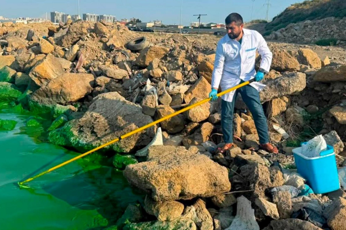 Böyükşor gölündə müəyyən edilən yaşıl rəngli kütlə ilə bağlı laborator analizlər aparılır