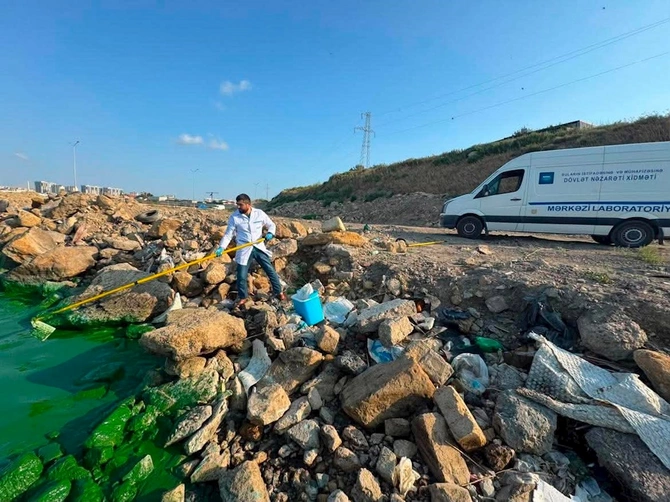 Böyükşor gölündə müəyyən edilən yaşıl rəngli kütlə ilə bağlı laborator analizlər aparılır