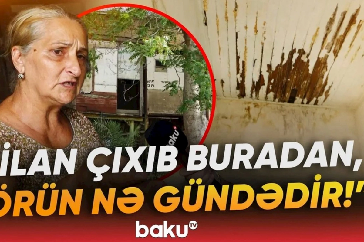 O qədər bərbad vəziyyətdədir ki, evdən yeddi ilan çıxıb — Neft milyonçusunun Mərdəkandakı mülkü baxımsız halda (VİDEO)