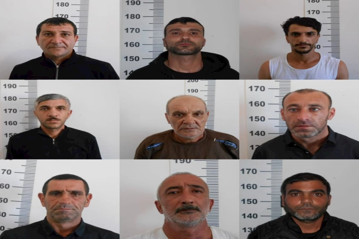Siyəzəndə narkotik yetişdirilməsi və dövriyyəsi ilə məşğul olan 9 nəfər həbs edildi