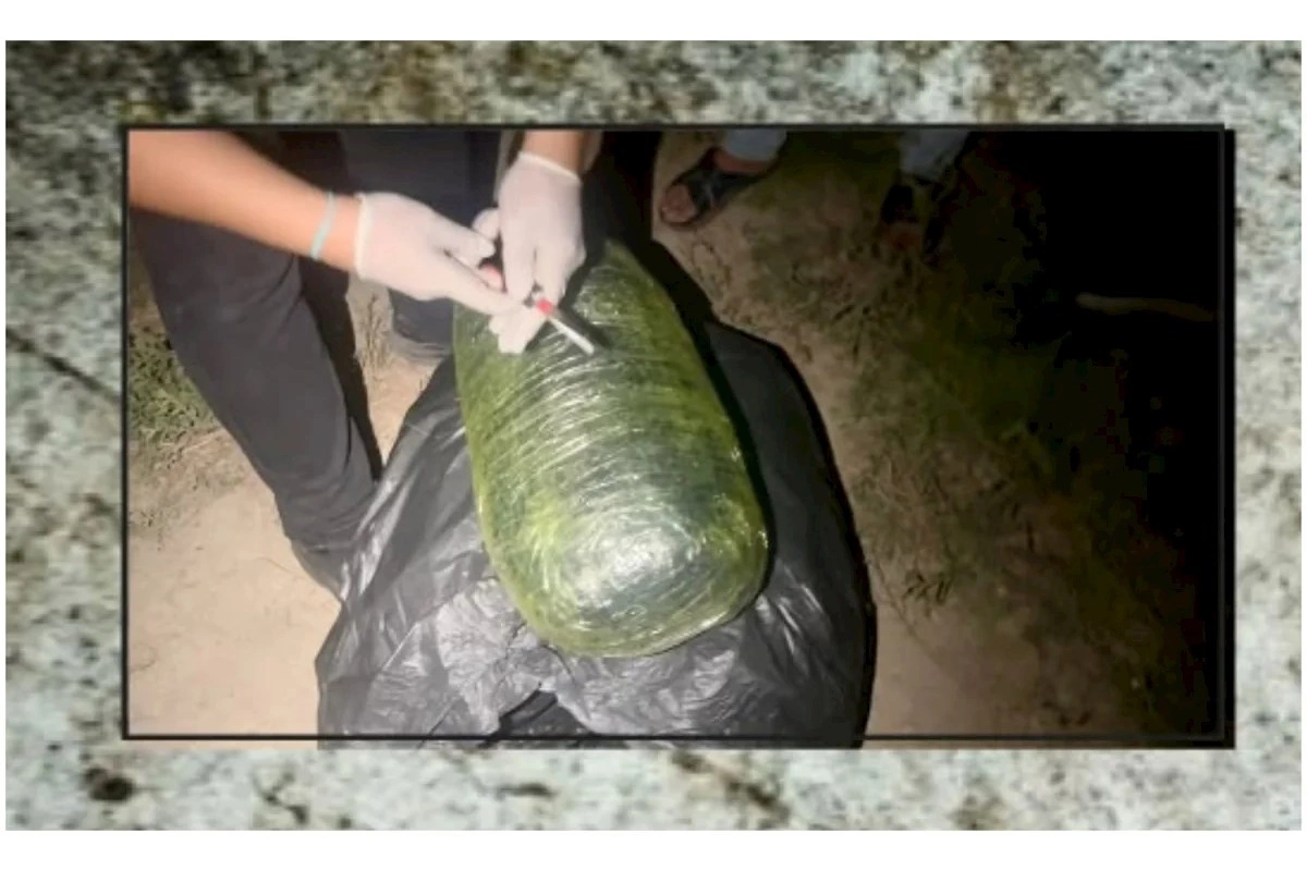 Sabirabadda 8 kiloqram narkotik vasitə aşkarlanıb