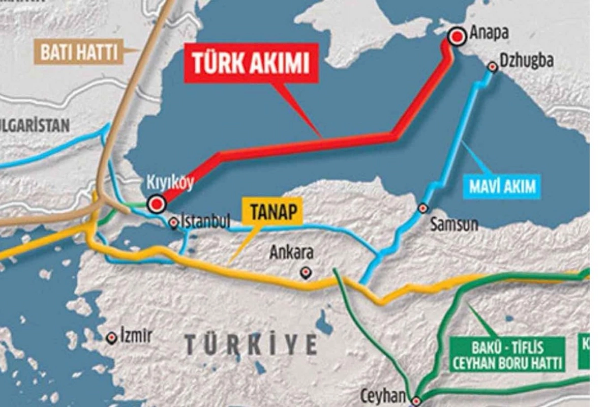 Alparslan Bayraktar: Avropa bizdən rus qazını almaq istəmir