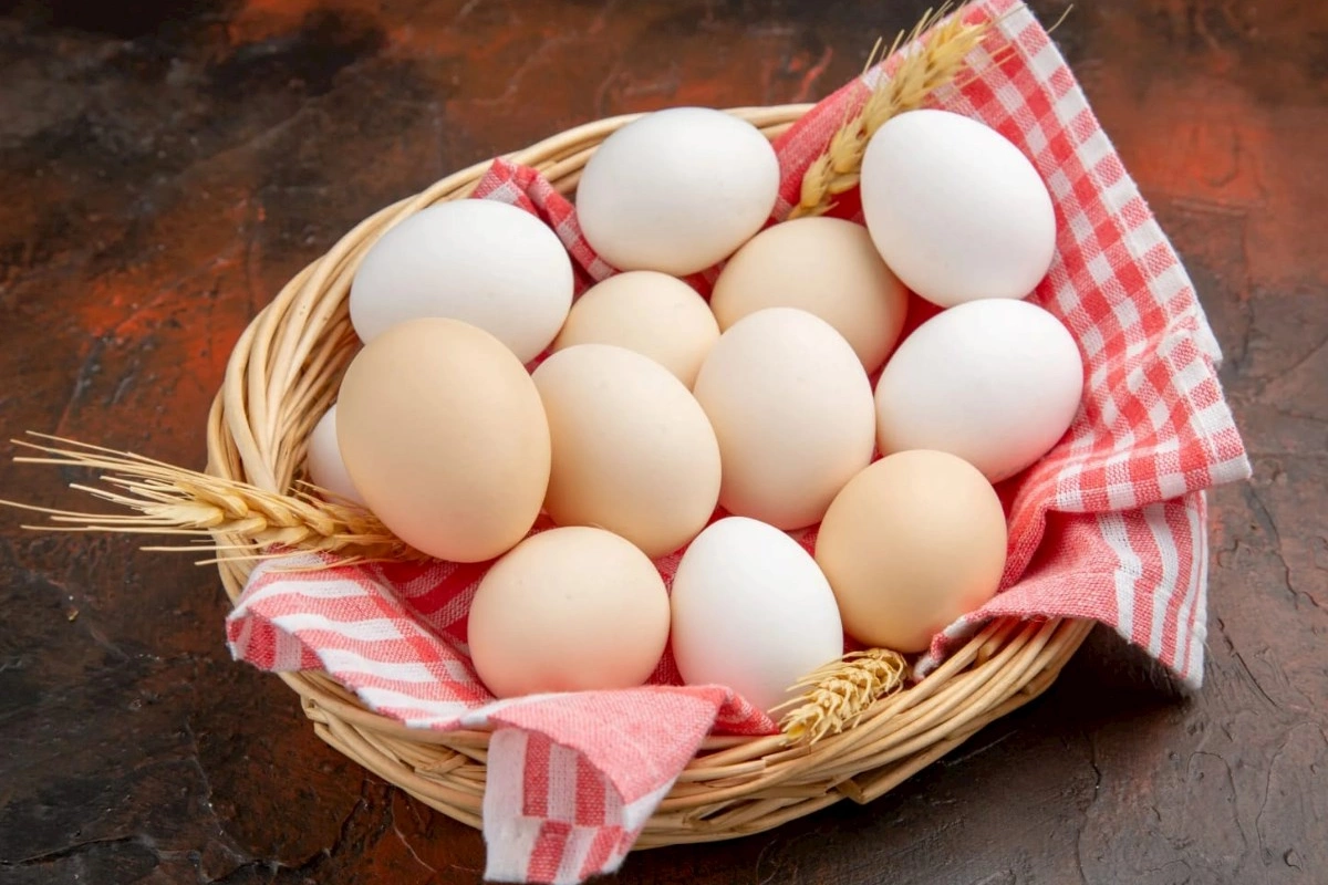 Sağlamlığın “ulduzu” idi, təhlükəyə çevrildi: Protein qəbul edənlərin nəzərinə — Mütəxəssislərdən xəbərdarlıq