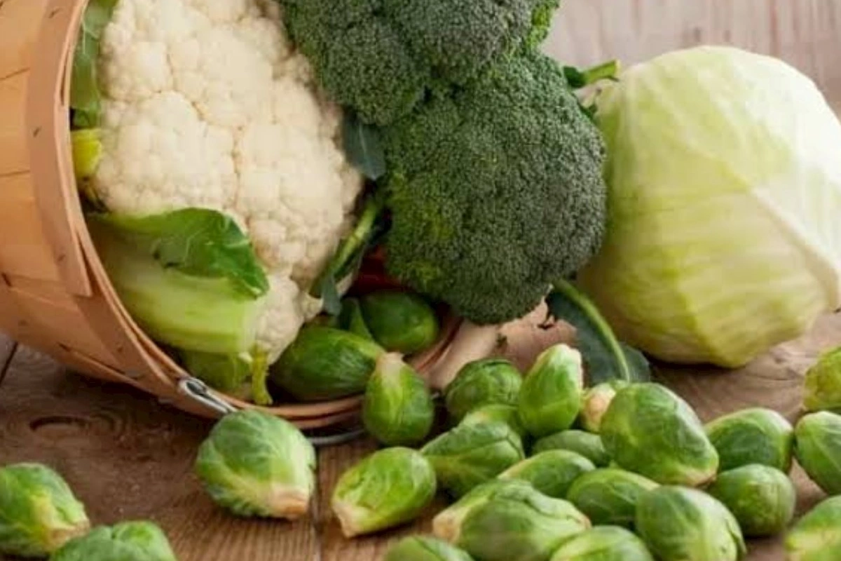Brokoli və kələm təzyiqi aşağı salır? — Alimlərdən yeni araşdırma