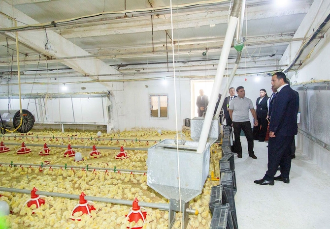 Salyanda aqrar Dövlət Proqramının icrası müzakirə edildi — FOTOLAR Salyanda aqrar Dövlət Proqramının icrası müzakirə edildi — FOTOLAR