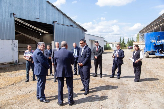 Salyanda aqrar Dövlət Proqramının icrası müzakirə edildi — FOTOLAR Salyanda aqrar Dövlət Proqramının icrası müzakirə edildi — FOTOLAR