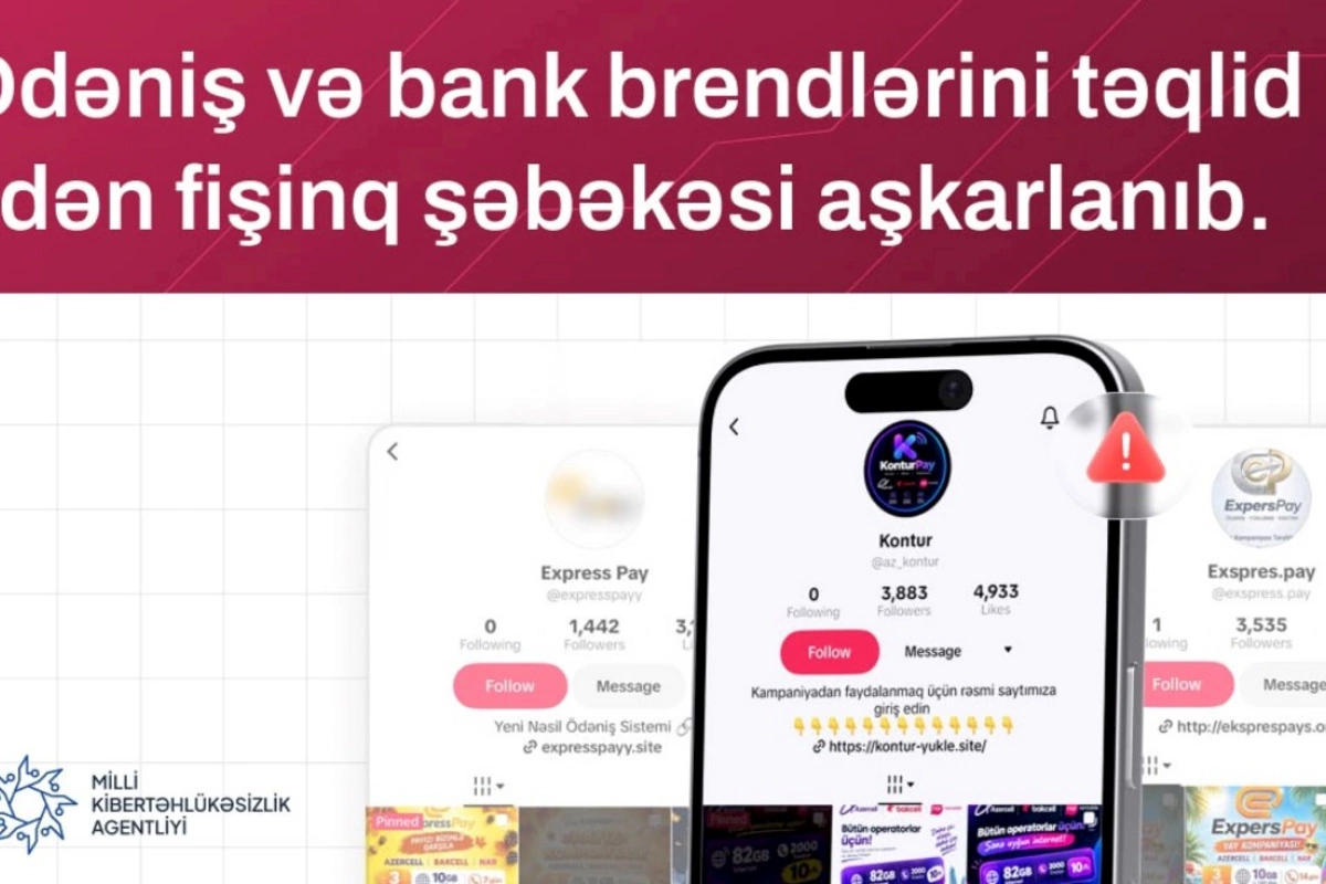 Ödəniş və bank brendlərini təqlid edən fişinq şəbəkəsi aşkarlanıb