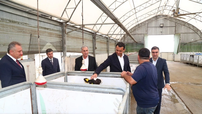 Hacıqabulda Dövlət Proqramının icrası yoxlanıldı — FOTOLAR Hacıqabulda Dövlət Proqramının icrası yoxlanıldı — FOTOLAR