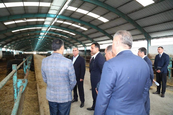 Hacıqabulda Dövlət Proqramının icrası yoxlanıldı — FOTOLAR Hacıqabulda Dövlət Proqramının icrası yoxlanıldı — FOTOLAR