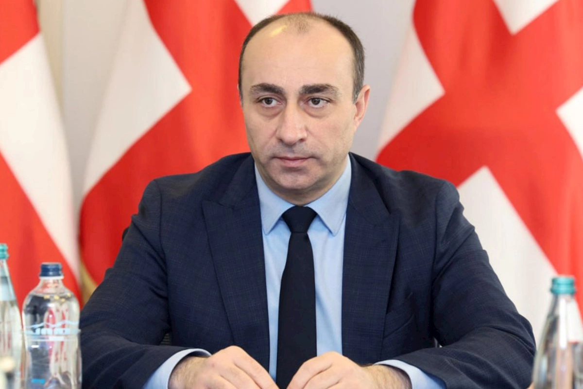 Gürcüstan DTX-nin rəhbəri istefa verdi