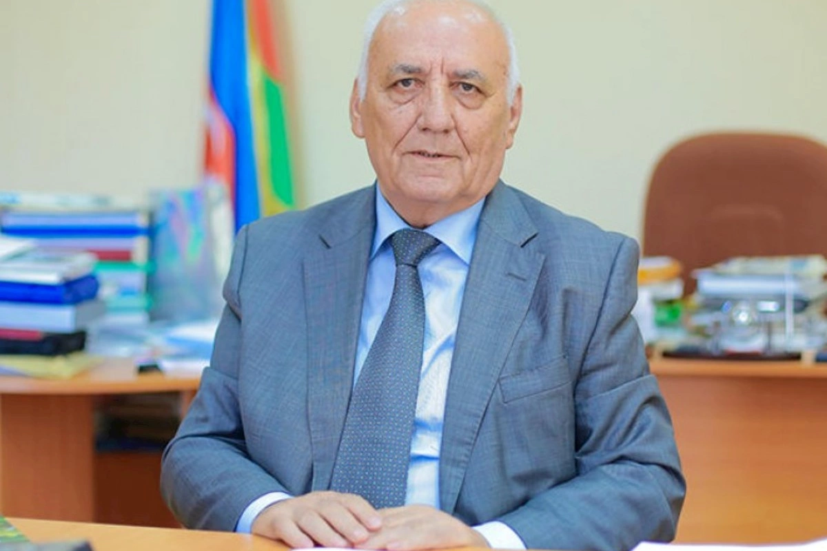Tariximizə sahib çıxaq! — Yaqub Mahmudovdan Prezidentə akademik dəstək