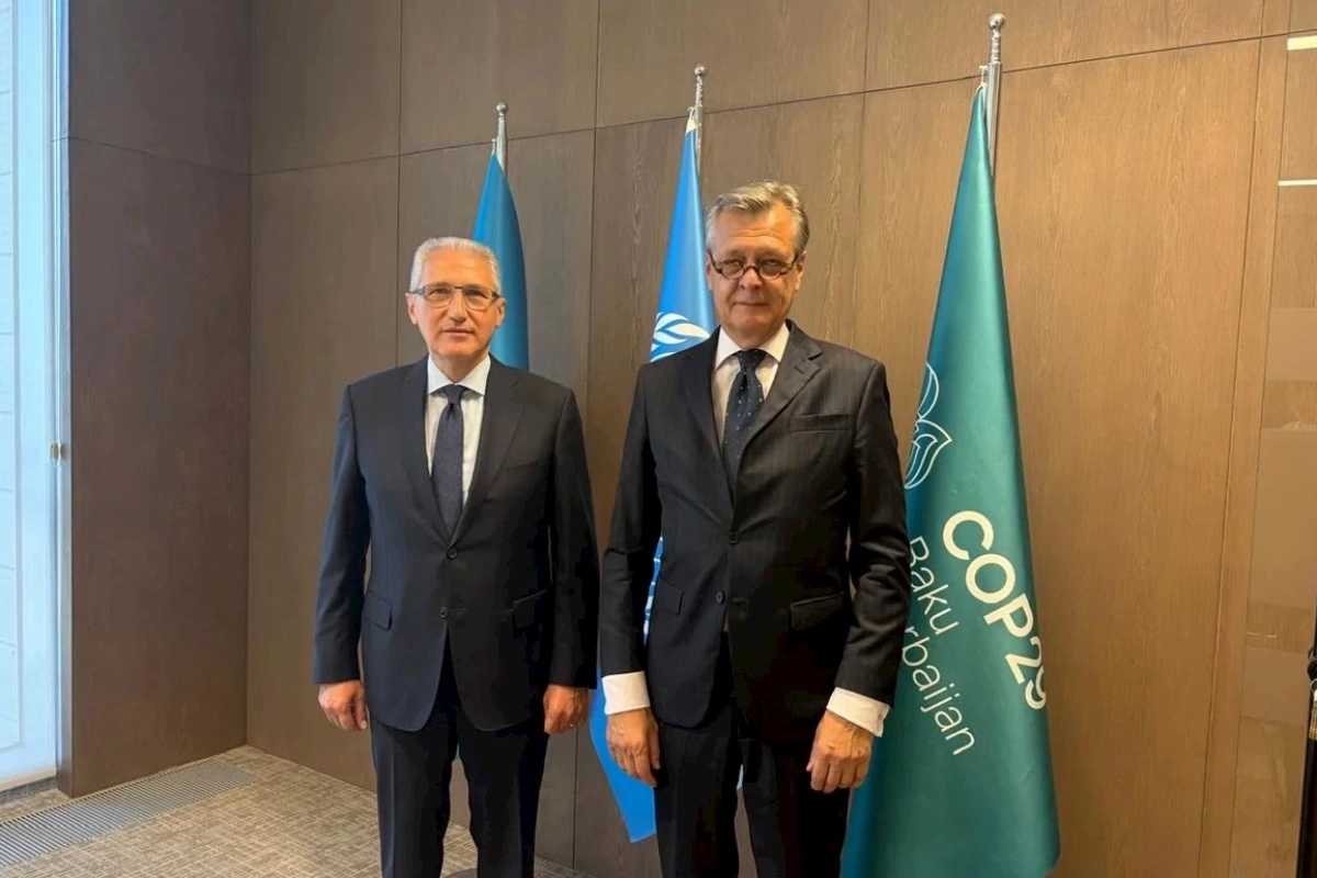 Azərbaycan və Almaniya iqlim sahəsində əməkdaşlığı müzakirə ediblər