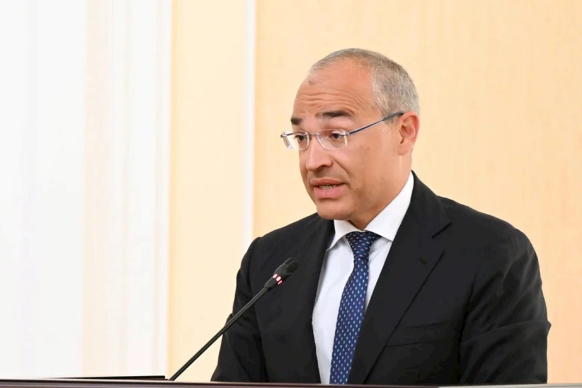 Nazir: Yanaşmamız xammalı daha çox emal etməkdir