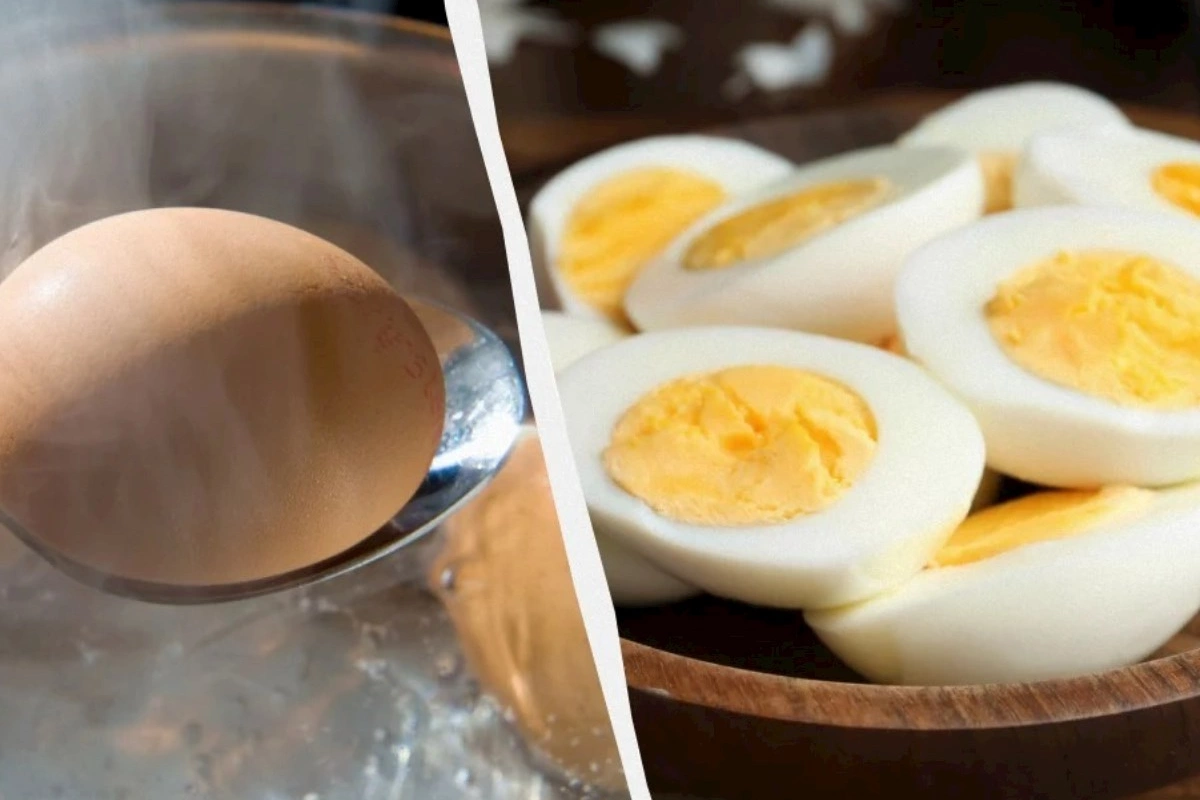 İki yumurtadan daha çox protein — Bitki mənşəli 5 məhsul