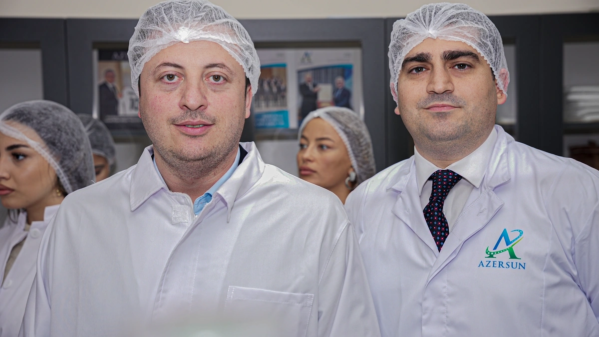 Çuğundur necə şəkərə çevrilir? – İmişlidən REPORTAJ / FOTOLAR