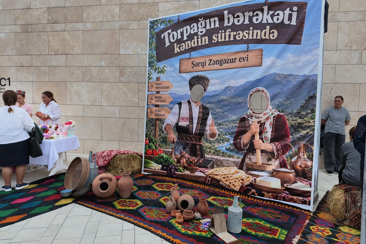Zəngilanda fotosərgi və təsviri sənət üzrə ustad dərsləri təşkil olunub - FOTOLAR
