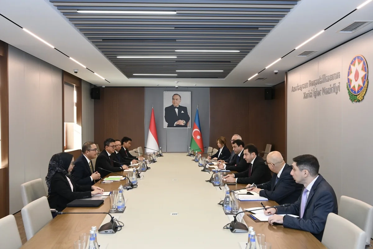 Azərbaycanla İndoneziya arasında siyasi məshələtləşmələr keçirilib - FOTOLAR
