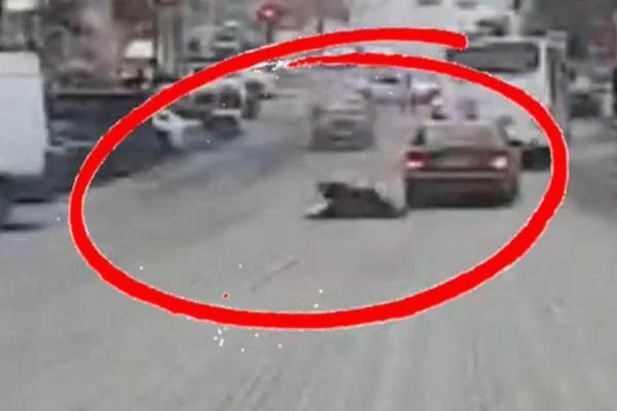 Magistral yolda faciə: İki piyada həyatını itirdi - Anbaan video