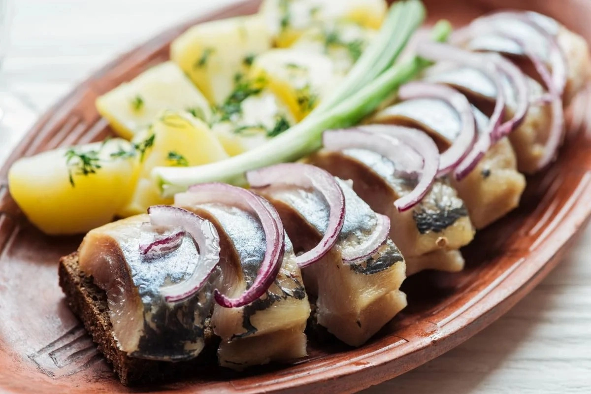 Şuba salatına alternativ siyənək balığından fərqli qəlyanaltı – RESEPT