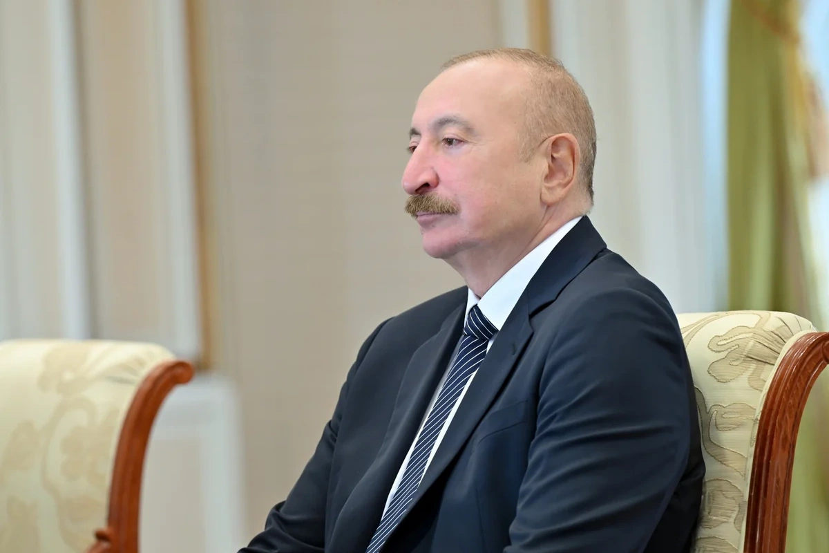 İlham Əliyev İslam Əməkdaşlıq Təşkilatının baş katibini qəbul edib - FOTOLAR