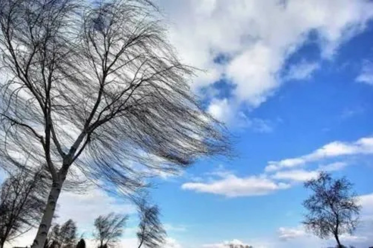 Faktiki hava açıqlanıb