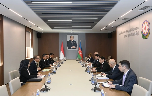 Azərbaycanla İndoneziya arasında siyasi məshələtləşmələr keçirilib - FOTOLAR